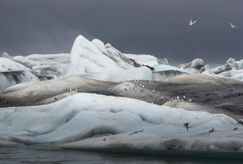 Islande de glace et de vie